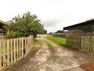 Picture 24